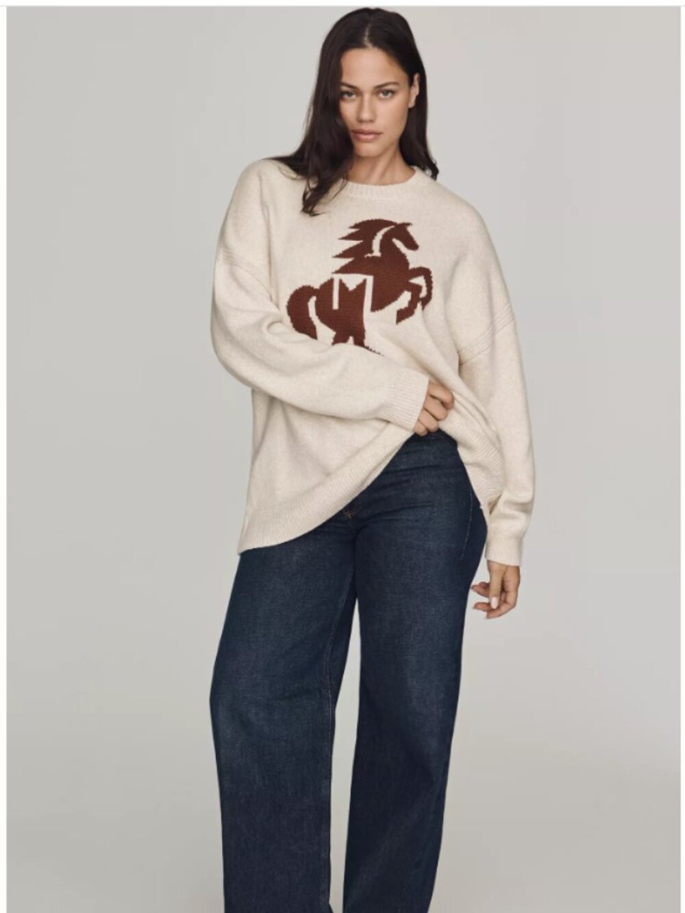 Anthropologie / Maeve Oversized Graphic Crew-Neck Sweater